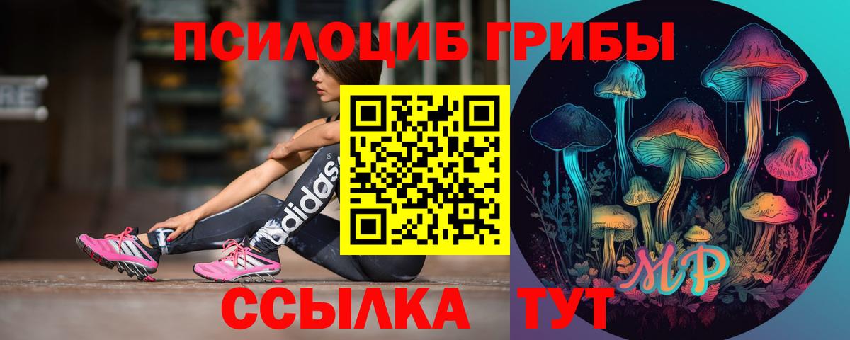 где можно купить наркотик  Вход с VPN  Мелеуз  Галлюциногенные грибы мухоморы 